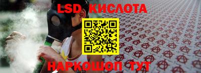стаф Донской