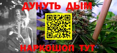 стаф Донской