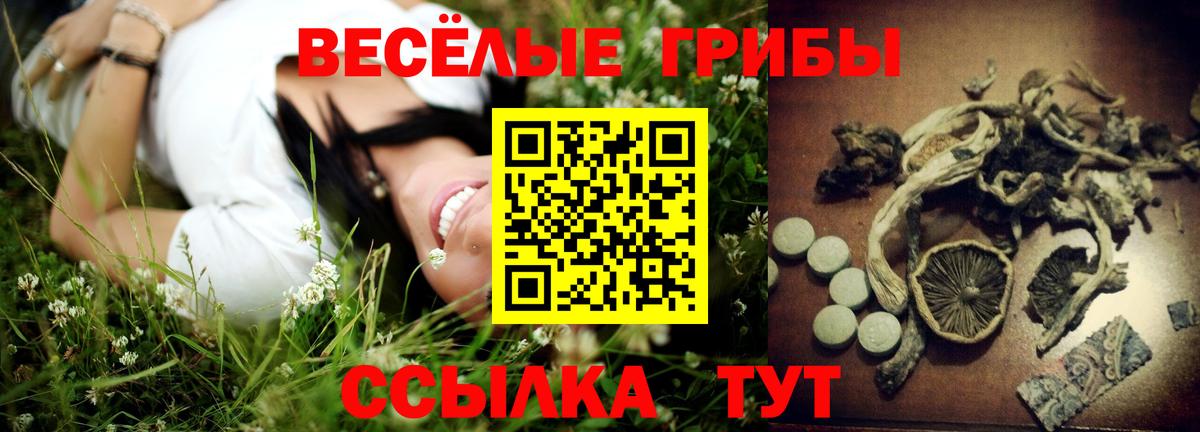 Псилоцибиновые грибы Cubensis Назрань